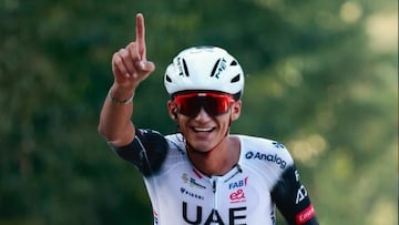 Exhibición de Del Toro