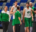 El Unicaja pide aplazar su partido ante el Joventut por las lesiones
