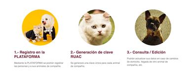 CURP para mascotas CDMX: qué es, cómo tramitar, requisitos y de cuánto es la multa por no darla de alta