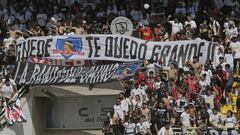 Hinchas de Colo Colo protestaron contra Guede
