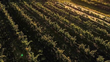 Jo Haylen, the transport minister for New South Wales in Australia, has lost her job after using taxpayers' money to fund private trips.