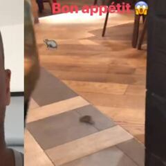Evra, sorprendido por 'Ratatouille' en un restaurante