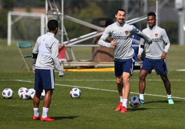 Zlatan Ibrahimovic.