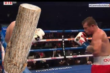 Los memes se ríen del fácil triunfo del 'Canelo' sobre Yildirim