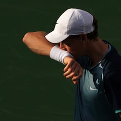 Lo que la mayoría de la gente piensa del 'Caso Sinner' y nadie se atreve a decir