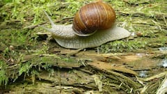 Only in France: You won’t believe what thieves stole from this farm worth over $100,000