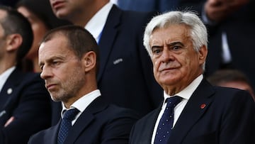 Ceferin y Rocha, en el partido entre Espa?a y Georgia en Colonia (Alemania).