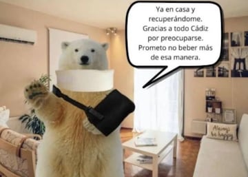 Los mejores memes del oso del cuello roto de la cabalgata de Reyes de Cádiz