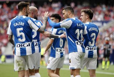 El día la marmota blanquiazul