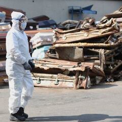 Cifras espeluznantes: 500.000 muertos y 10 millones de casos