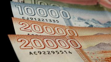 Ex Bono Marzo: fechas clave y hasta cuándo puedo reclamar el Aporte Familiar Permanente