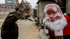 Bono Yanapay, Familiar y 600 soles | Link y cómo ver con cuenta DNI quién puede cobrarlo 24 de diciembre