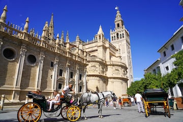 El templo sevillano es uno de los más grandes del mundo.  Tiene su punto más alto en la Giralda con 104 metros. 