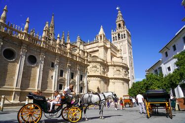 El templo sevillano es uno de los más grandes del mundo.  Tiene su punto más alto en la Giralda con 104 metros. 