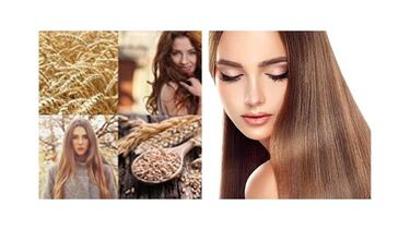Tratamientos para la caída del cabello: previene y combate la alopecia