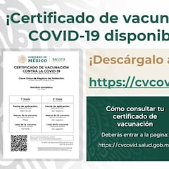 Certificado COVID-19: cómo descargarlo de forma gratuita y dónde hacerlo