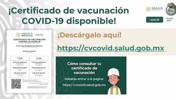 Certificado COVID-19: cómo descargarlo de forma gratuita y dónde hacerlo