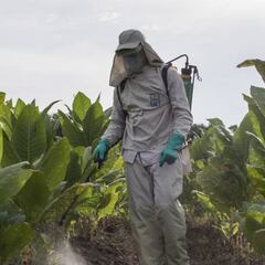 ¿Por qué Sucre es el departamento con menos contagios por coronavirus?