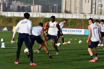 Este martes, la Selección Colombia viajará a Lima para enfrentar a Perú en el inicio de un nuevo ciclo bajo la dirección de Reinaldo Rueda.