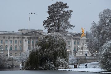 Bonita imagen que nos dejan los árboles cubiertos de nieve frente al Buckingham Palace. 