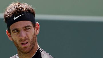 Del Potro: "Parece que si no gano un torneo no sirvo"