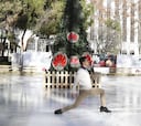 En la pista de Javi Fernandez en Madrid se patina por un euro