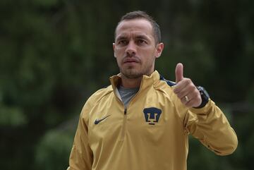 El mediocampista chileno es fundamental en la columna vertebral de Pumas, en su segunda temporada ha tenido buenas actuaciones.