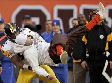 'Silverback': El rey incomprendido (primera entrega)