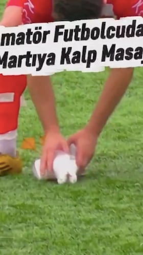 Derriba una gaviota de un balonazo y le da primeros auxilios para reanimarla