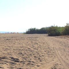 Las mejores playas de Málaga en 2021: ¿cuáles son las más bonitas y dónde se encuentran?