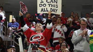 The Florida Panthers fans are celebrating one big win as they made it to the Stanley Cup, but now they’re waiting on the Heat to make it to the NBA Finals.