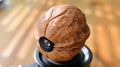 Acumula millones de visitas en YouTube esta cámara espía escondida en la cáscara de una nuez