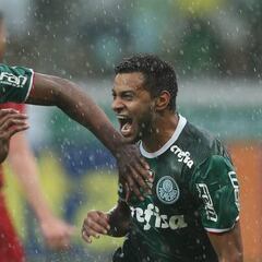 Mina es campeón con Palmeiras del Brasileirao