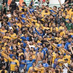 7 datos que debes de saber de Tigres para el Apertura 2018