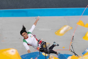 La escaladora iraní compitió el pasado 16 de octubre en Seúl, Corea del Sur, en escalada deportiva sin velo. Según las declaraciones de la deportista fue un hecho "involuntario" pero se teme que a su regreso al país sea encarcelada. 
