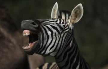 Portobello Resort, el paraíso de Italia