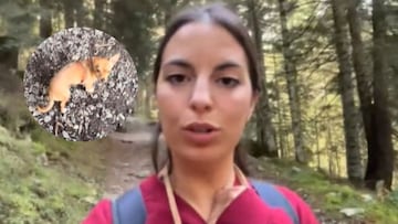 Avalancha de reacciones por lo que le han hecho a un perro en los Pirineos: “Ya sé dónde no ir jamás”