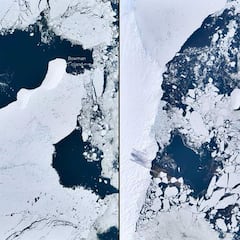 Un colapso inesperado anticipa cambios en la Antártida Oriental: “Nadie pensaba que se iba a derretir”