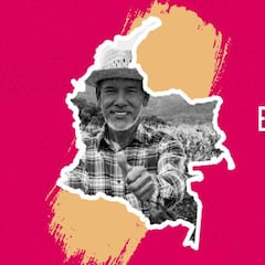 Ingreso Solidario del DNP en agosto: ¿cómo registrarse en MOVii para recibir el pago?