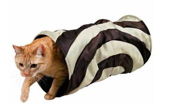 10 Juegos para entretener a mi gato