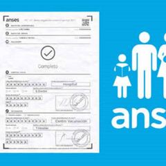 AUH: requisitos y cómo saber si la cobraré en diciembre