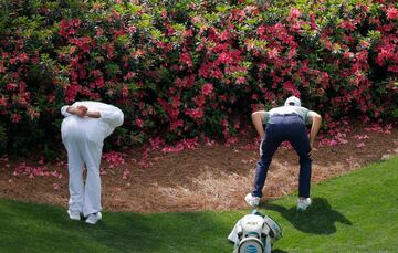 Aunque a primera vista pudiera parecerlo, el golfista estadounidense Jordan Spieth y su caddie no estn embelesados observando las flores, pese a la belleza natural que se aprecia. Estn buscando una bola extraviada entre los arbustos cuando jugaban el hoyo 13 durante la primera ronda del Masters de Augusta que se disputa en Georgia (EE UU).