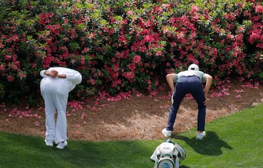 Aunque a primera vista pudiera parecerlo, el golfista estadounidense Jordan Spieth y su caddie no están embelesados observando las flores, pese a la belleza natural que se aprecia. Están buscando una bola extraviada entre los arbustos cuando jugaban el hoyo 13 durante la primera ronda del Masters de Augusta que se disputa en Georgia (EE UU).