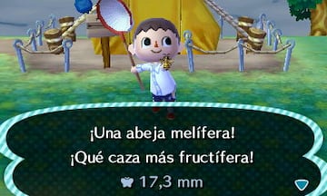 Captura de pantalla - Animal Crossing: New Leaf (3DS)