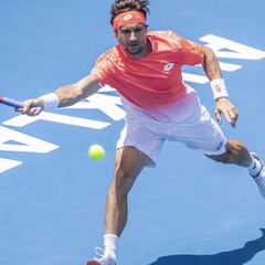 David Ferrer supera a Haase y se verá con Carreño en Auckland