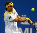 Ferrer vuelve a arrasar a Berdych