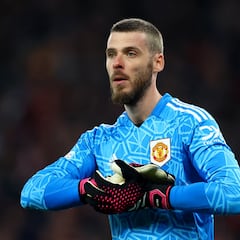 Will David de Gea retire after leaving Manchester United?