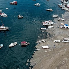 La viscosa, grisácea y fétida capa de 'moco de mar' que amenaza a los ecosistemas