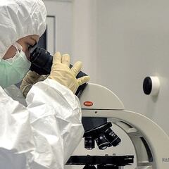 El intestino humano alberga 140.000 virus, 70.000 desconocidos hasta ahora