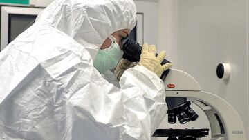 Descubiertas 70.000 nuevos virus en el instetino humano.